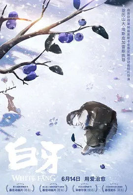 久久午夜网站